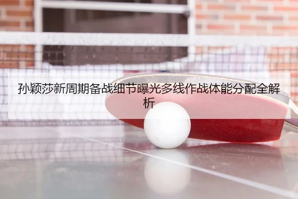 孙颖莎新周期备战细节曝光多线作战体能分配全解析